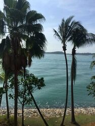 The Oceanfront @ Sentosa Cove (D4), Condominium #496902891